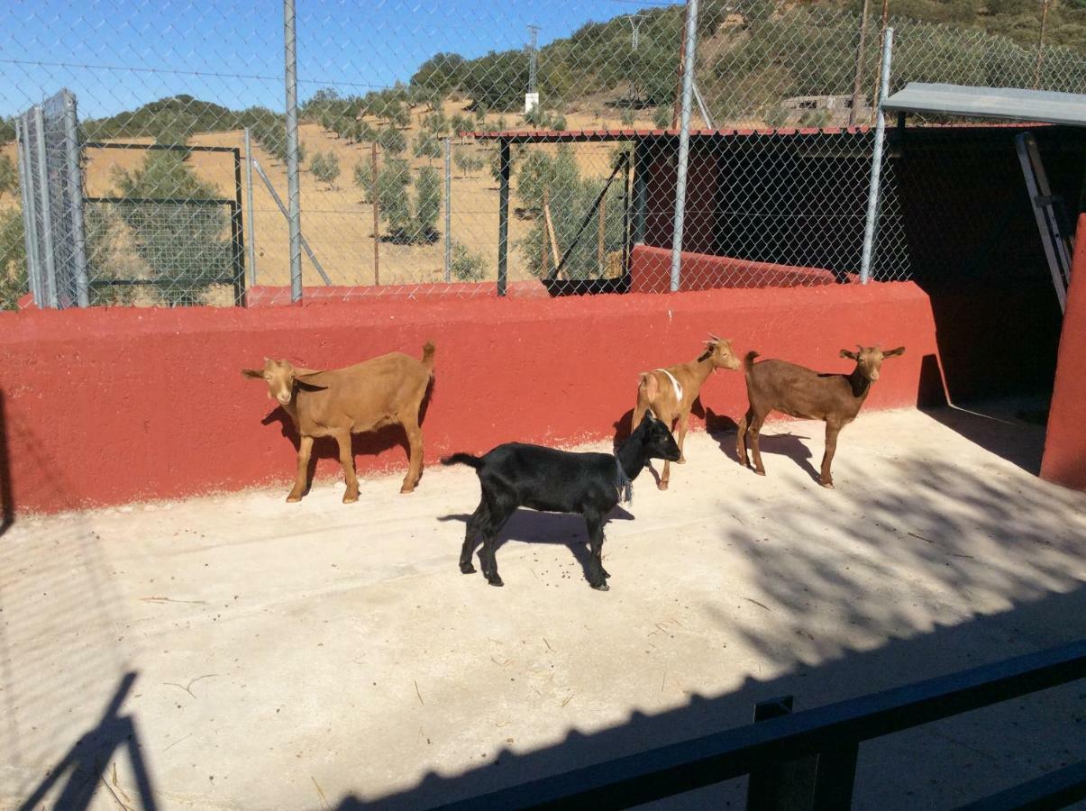 בית הארחה ארצ'ידונה 	Santa Marta Complejo Rural Con Pista De Padel מראה חיצוני תמונה